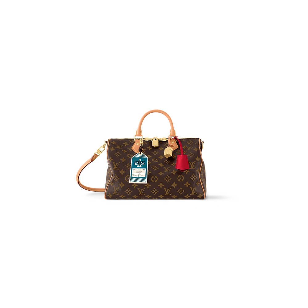LV Speedy Soft 30 Crafty