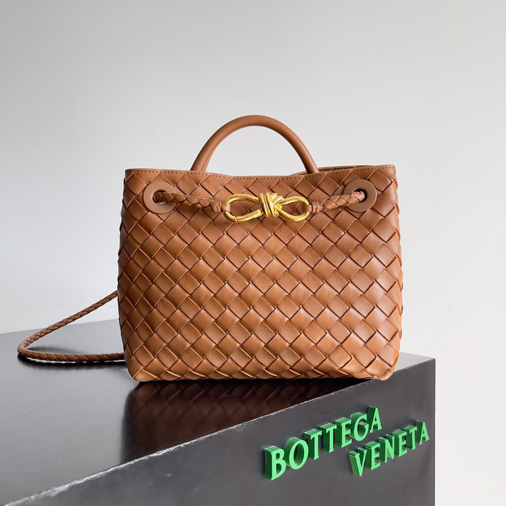 Bottega Veneta Small Andiamo